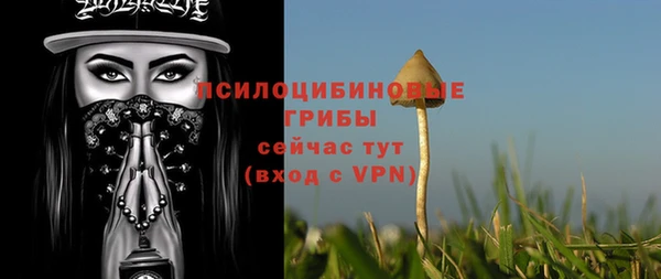 PSILOCYBIN Алзамай