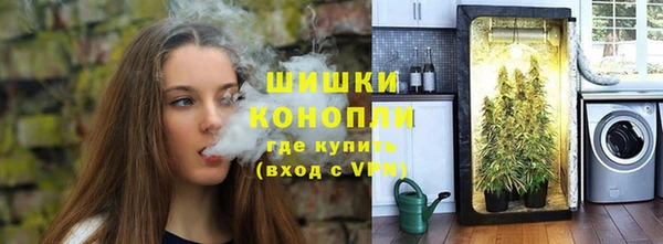 PSILOCYBIN Алзамай