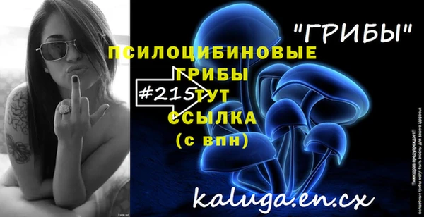 стаф Алексеевка