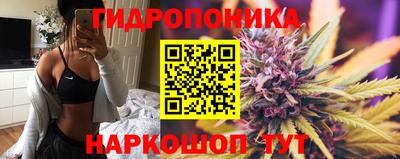 мяу мяу мука Тулун