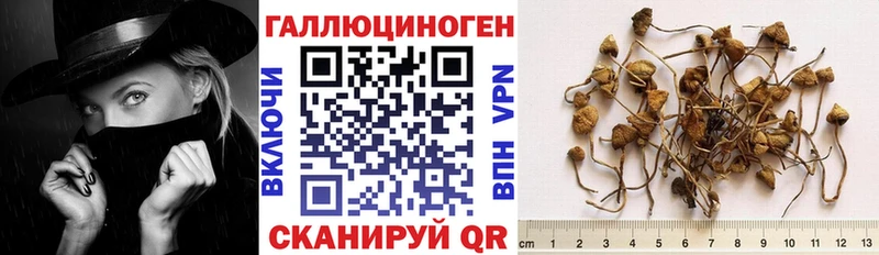 Галлюциногенные грибы Cubensis  Раменское 