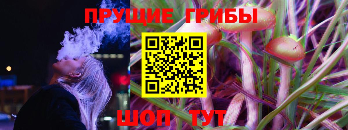 Псилоцибиновые грибы мицелий Раменское